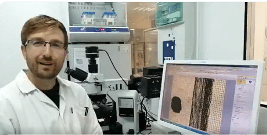 Técnico de INFINITIA trabajando con el microscopio y la imagen de la muestra en pantalla