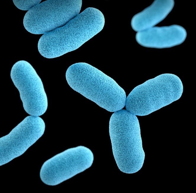 Ilustración de bacterias sobre fondo oscuro, utilizada en los contenidos sobre biología molecular y tratamientos antimicrobianos