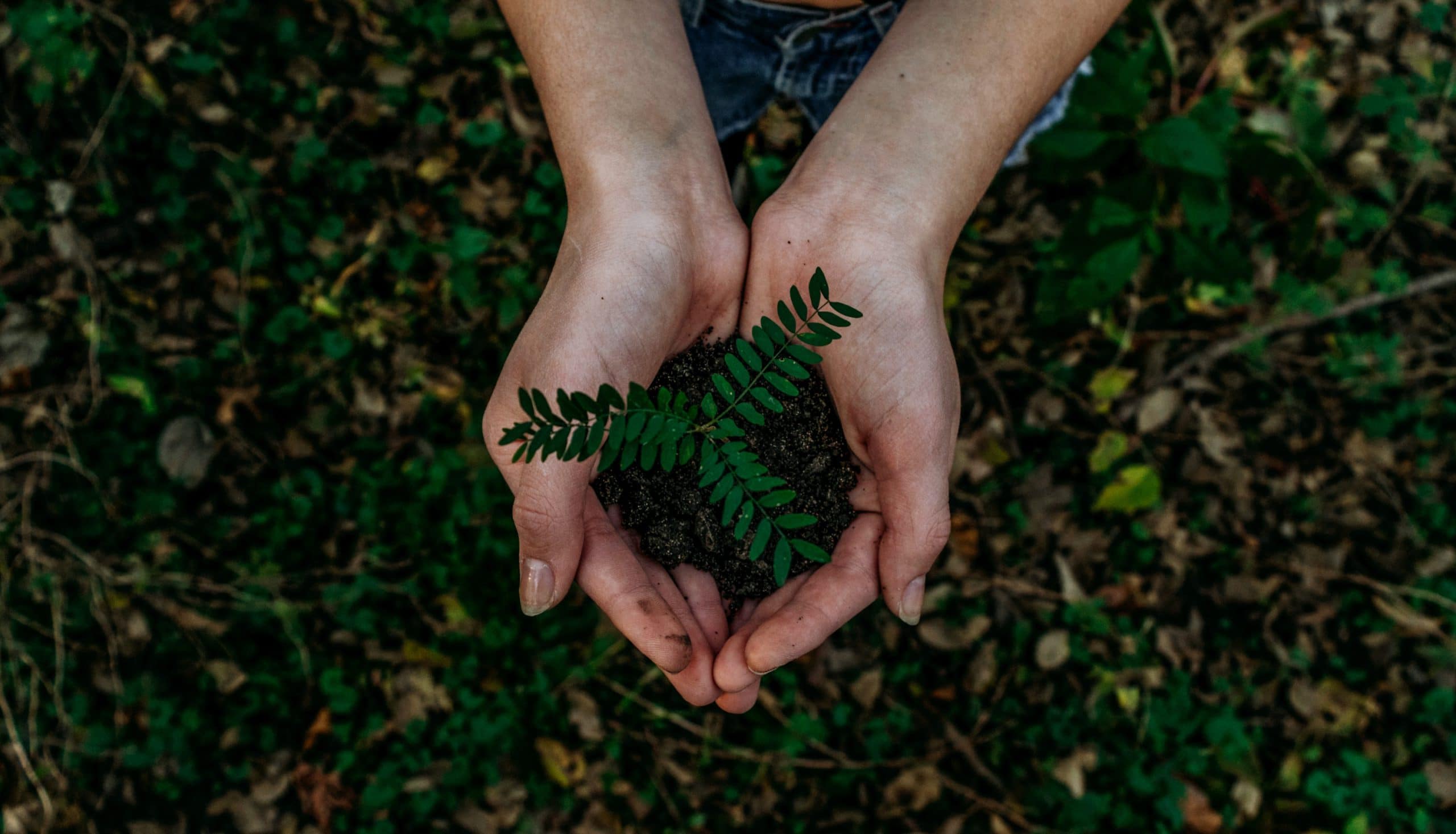 Ecodiseño ¿En qué consiste?