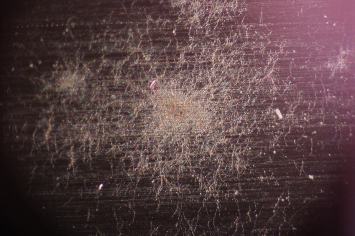 Corrosion and stain analysis on stainless steel Corrosion and stain analysis on stainless steel