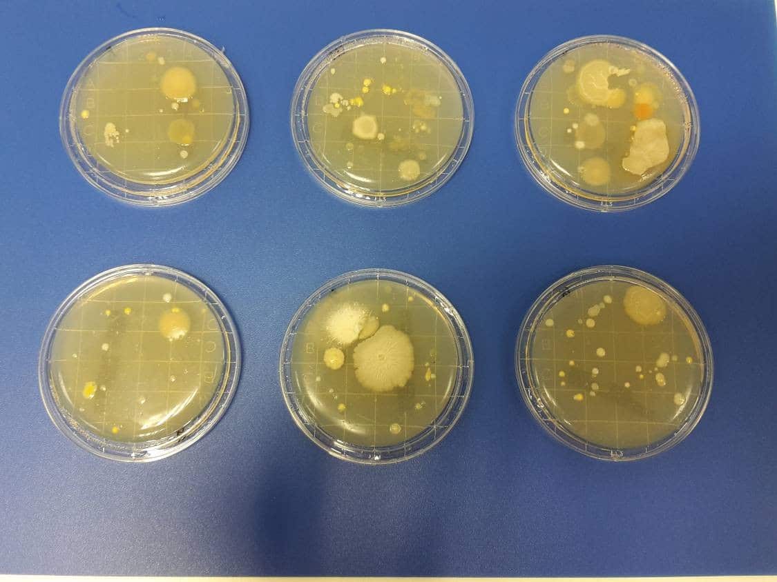 Corrosion and stain analysis on stainless steel