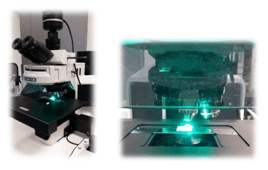 Characterization of the antibiofilm properties of surfaces