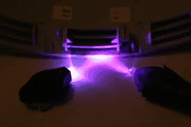 Optimization of ultraviolet light devices for air disinfection Ultraviolet lamp in operation for air disinfection