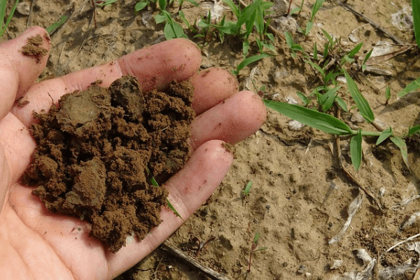 Biodegradación de un producto: Análisis y normativa