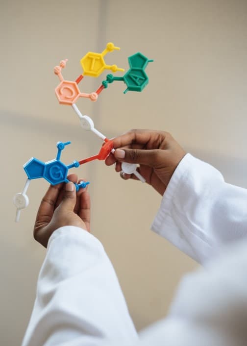 Ultrasound for food safety improvement Technician in a lab coat holding a molecular model