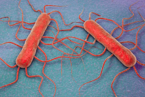 Preventing and controlling listeria in food production