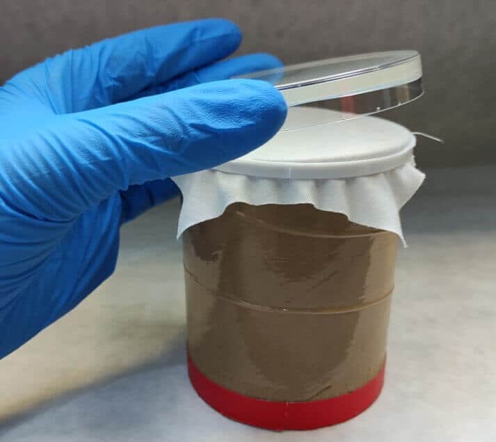 Determination of the microbiological evolution during fermentation Determination of the microbiological evolution during fermentation