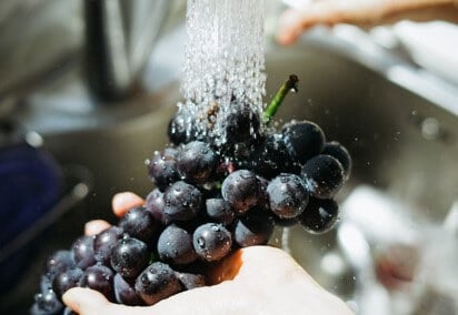 Evaluation of the antimicrobial properties of a device for food disinfection Evaluation of the antimicrobial properties of a device for food disinfection