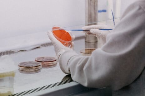 Evaluation of the antimicrobial properties of a device for food disinfection Evaluation of the antimicrobial properties of a device for food disinfection