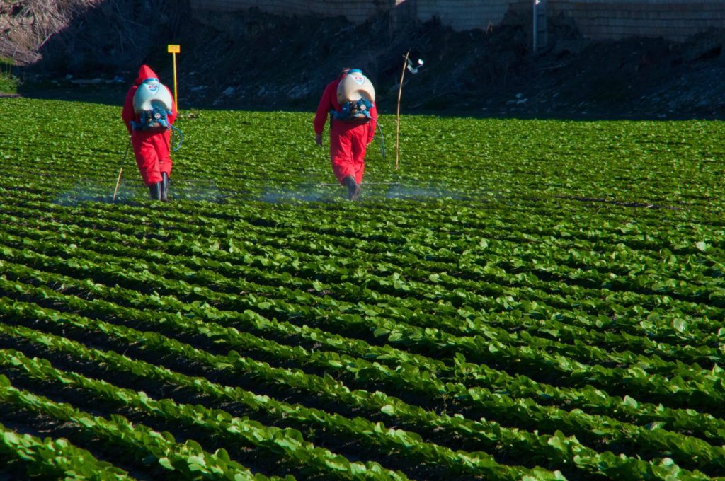 Ensayos de eficacia de productos biocidas