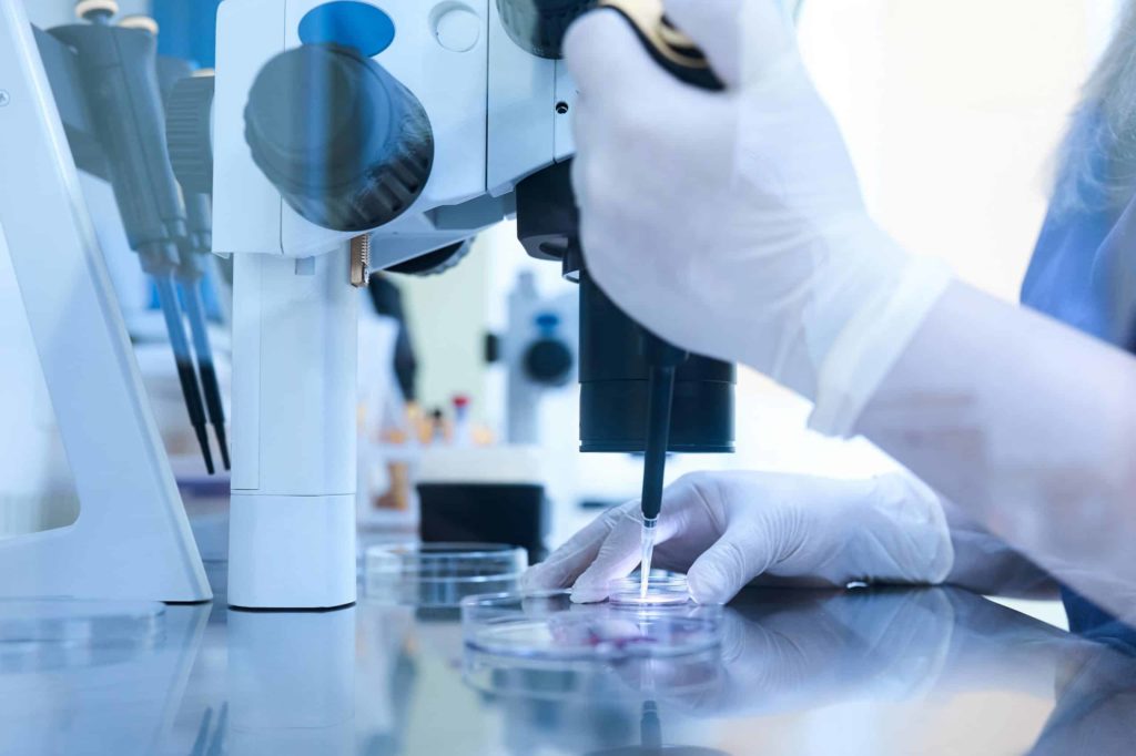 Characterization of additives and fillers Characterization of additives and fillers