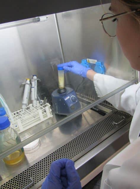 Investigadora realizando ensayos microbiológicos en laboratorio para validar sistemas de desinfección mediante ozono