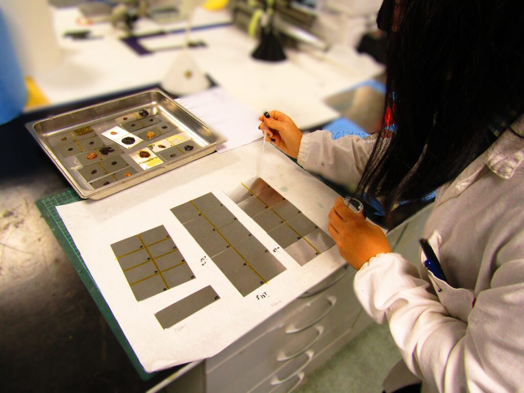 Technician analyzing samples after chemical resistance testing comparing different industrial materials