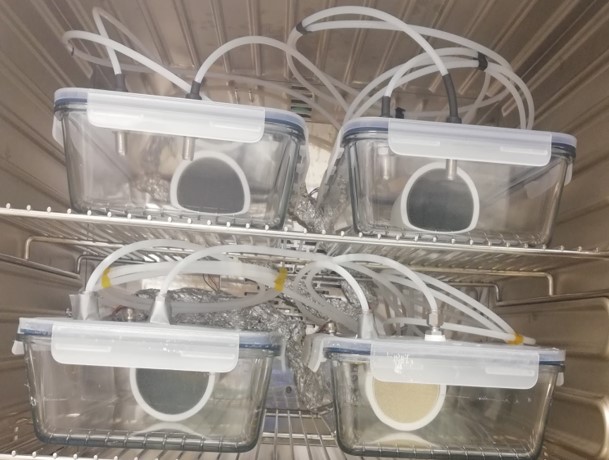 Experimental system with reactors and gas lines used in a catalyst testing bench to evaluate catalytic reactions under controlled conditions
