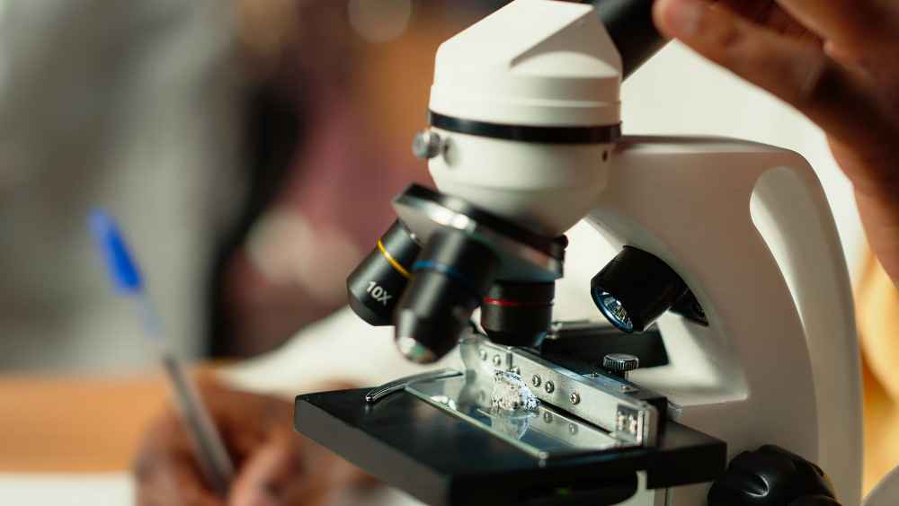 Estudio de agujas metálicas mediante técnicas de caracterización y análisis elemental para detectar lotes defectuosos en producción.