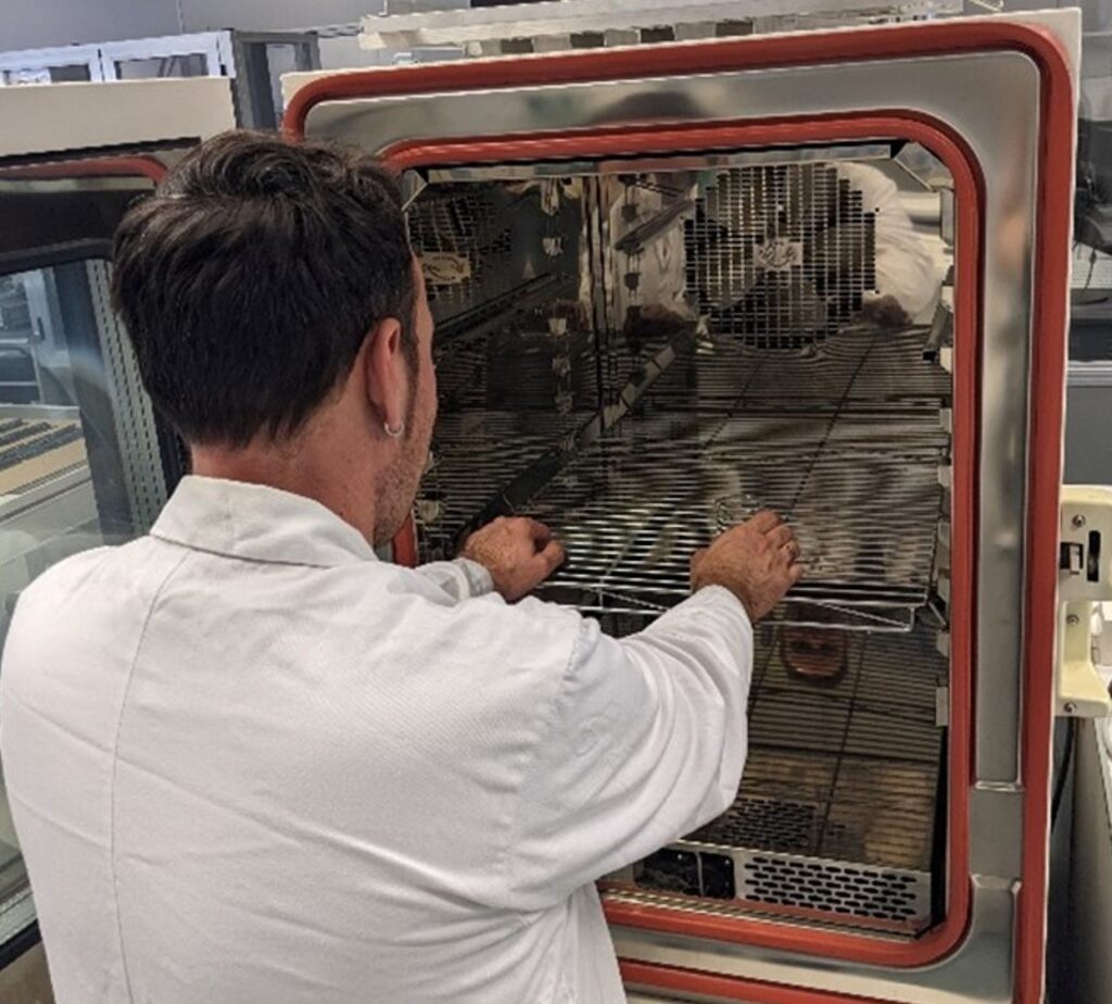 Thermal test in furnace to evaluate degradation and performance of lithium batteries