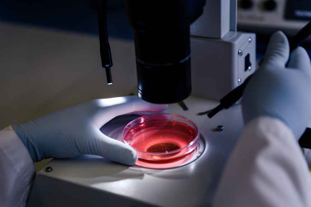 Microscope analyzing a sample in a Petri dish to identify a material in a laboratory