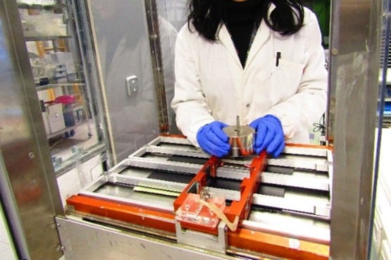 Experimental test to analyze the interaction between detergents and materials and evaluate potential degradation effects