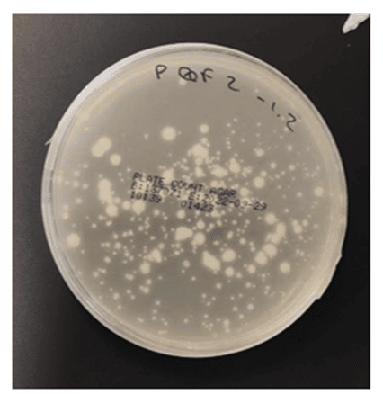 Improving materials for shelf-life extension and food preservation through microstructuring