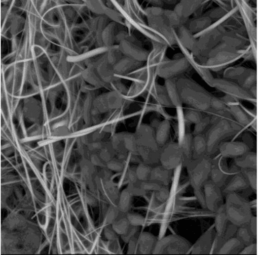 SEM image of industrial air filter media showing metallic particles and contaminants analyzed to investigate premature wear.