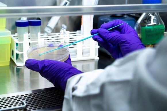 Researcher performing microbial plating on a Petri dish to evaluate antimicrobial performance of materials in laboratory conditions