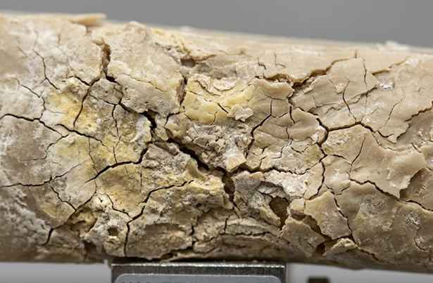 Polymer material showing cracks and degradation after exposure to aggressive chemicals in resistance testing