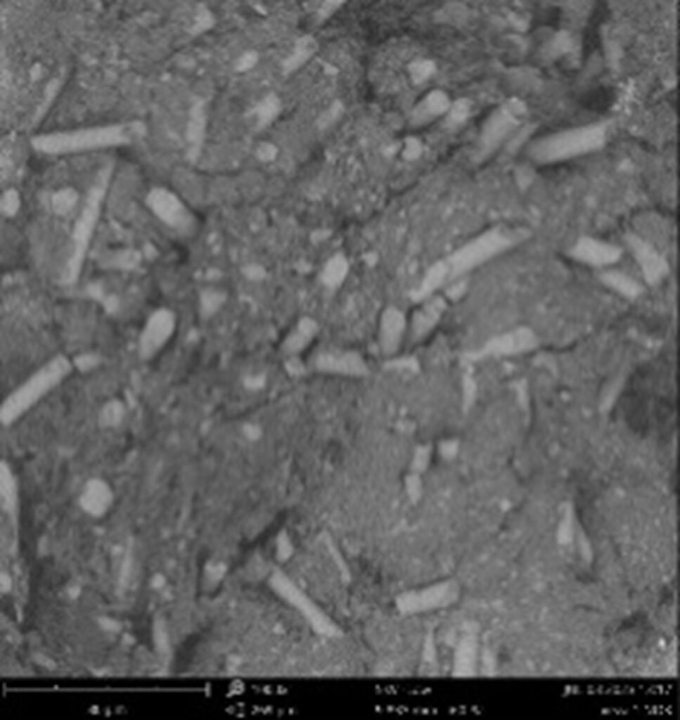 Imagen microscópica de material compuesto con fibras y matriz análisis microestructural