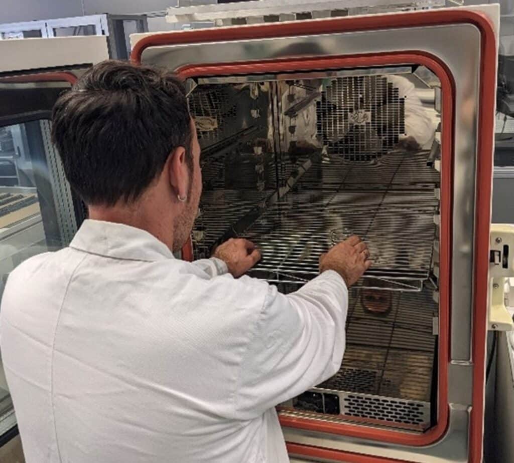 Comportamiento frente a agentes externos Técnico colocando probetas metálicas en interior de cámara de ensayo de corrosión acelerada en laboratorio