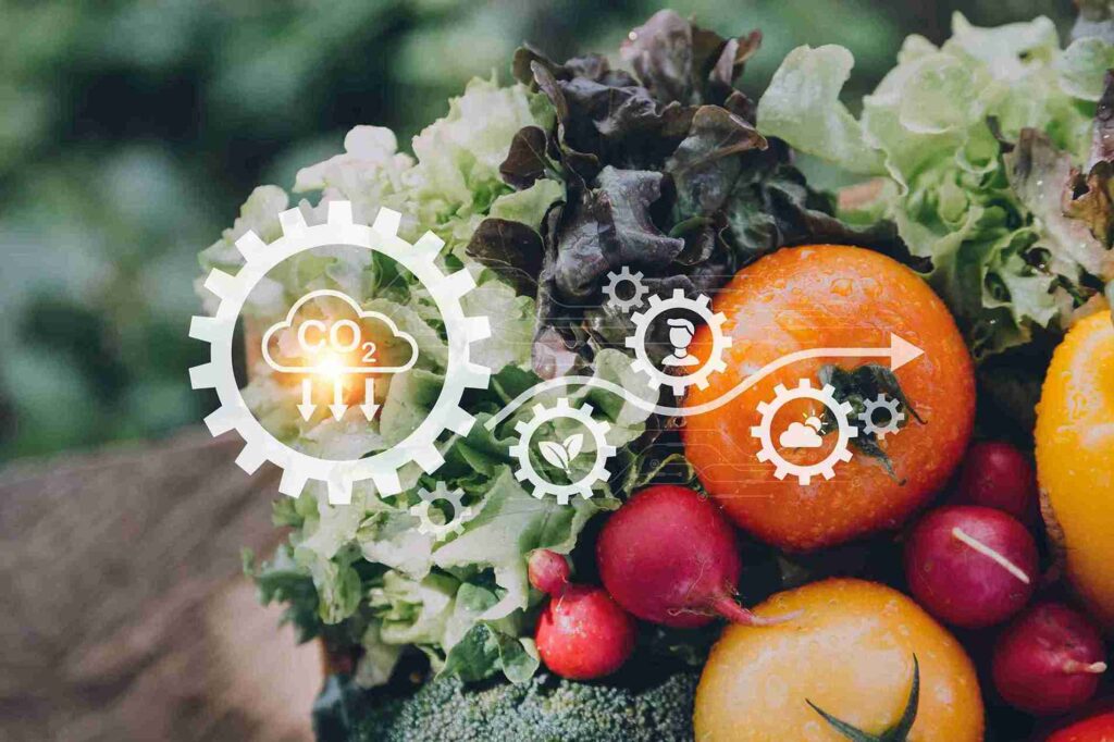 Revalorization of borage by-products through polyphenol extraction Circular economy in the food industry applied to the revalorization of borage by-products rich in polyphenols