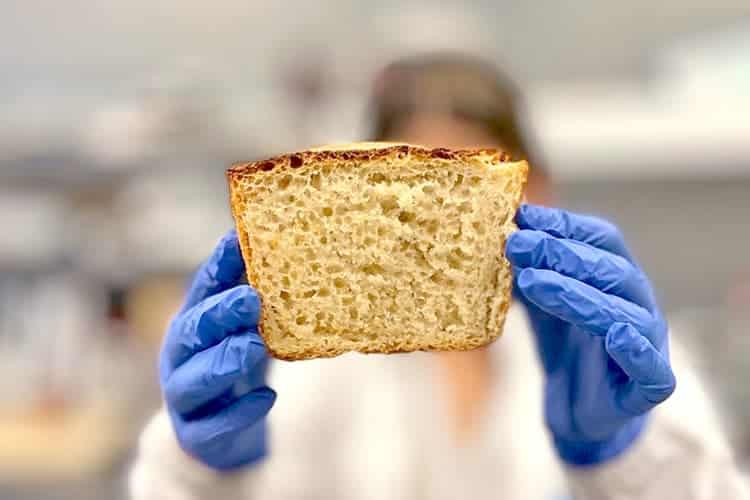 Análisis de compuestos tóxicos presentes en panes cocinados bajo distintas condiciones.