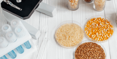 analisis nutricional de alimentos en laboratorio