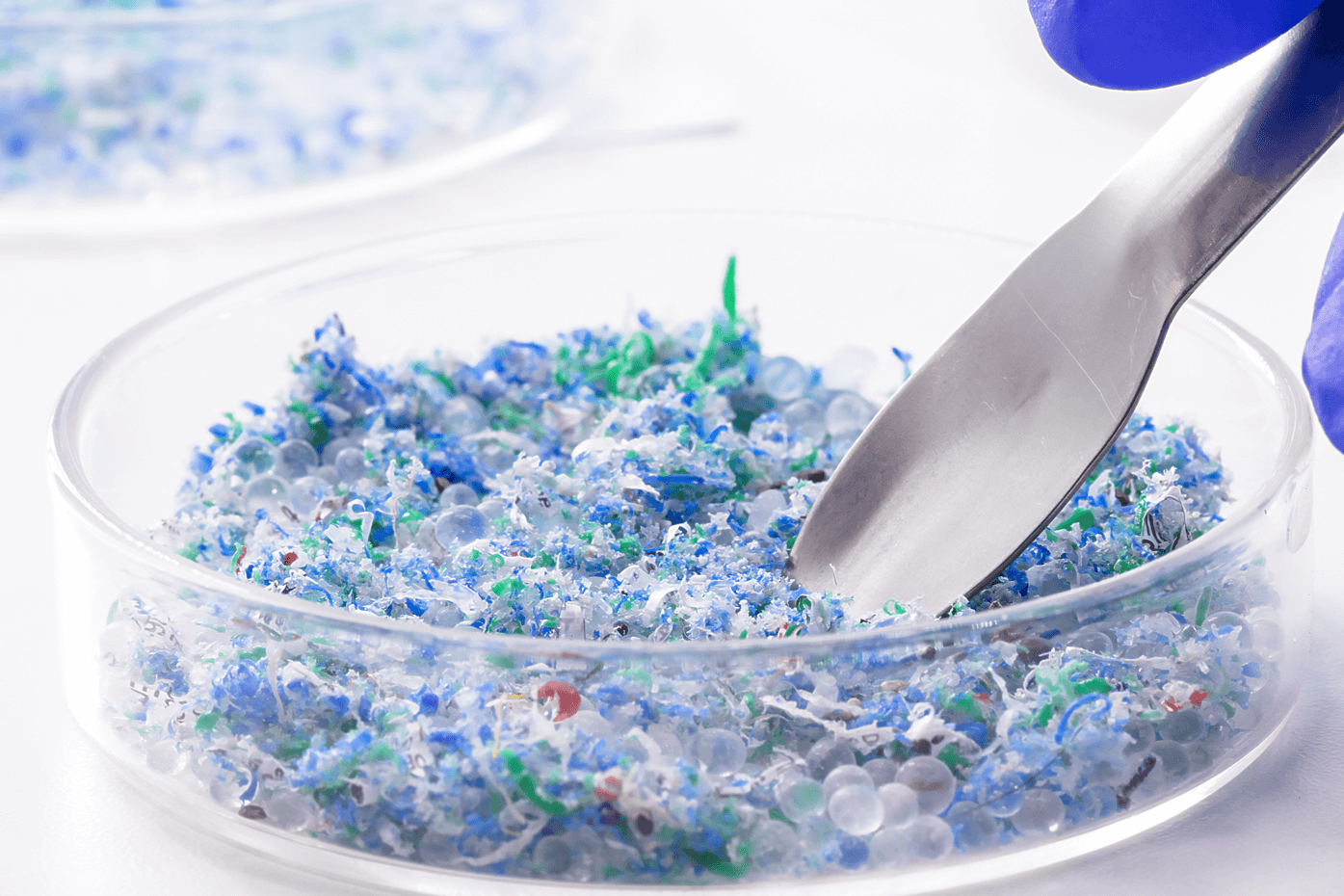 Coloured recycled plastic pellets in a laboratory tray prepared for chemical analysis