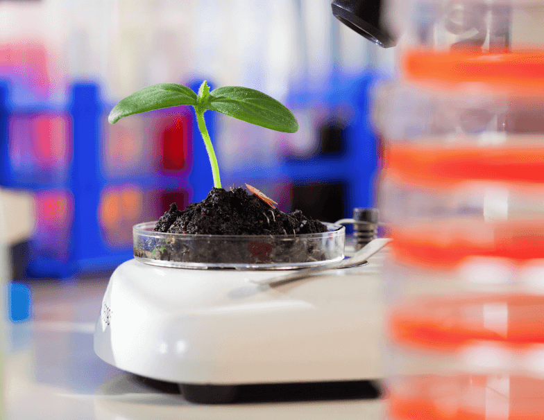 Biotechnology in the food industry