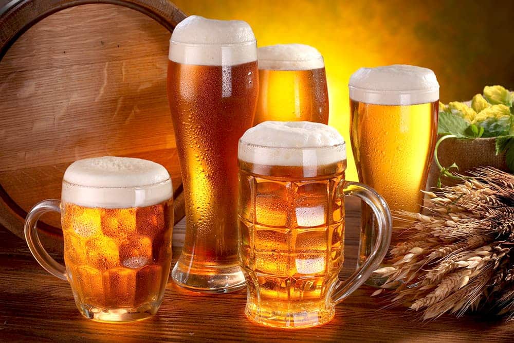 Determination of beer extraction capacity in different grains to increase productivity