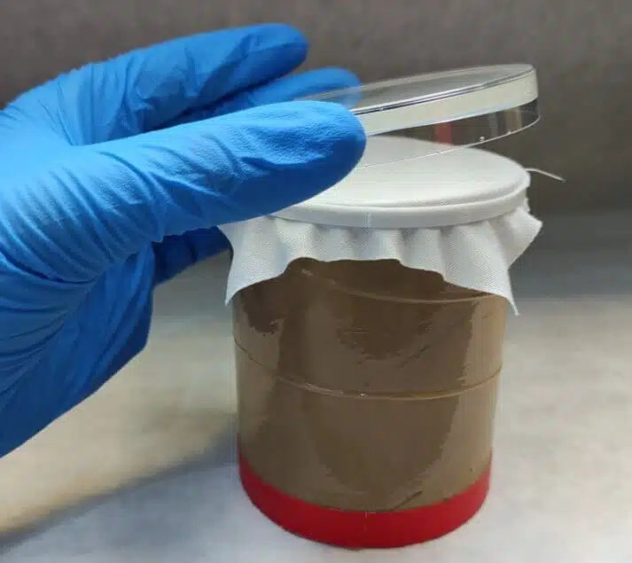 Gloved technician holding a fermentation jar covered with gauze