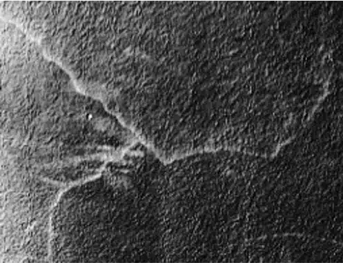 Crack on a material surface observed under the microscope in a fatigue analysis