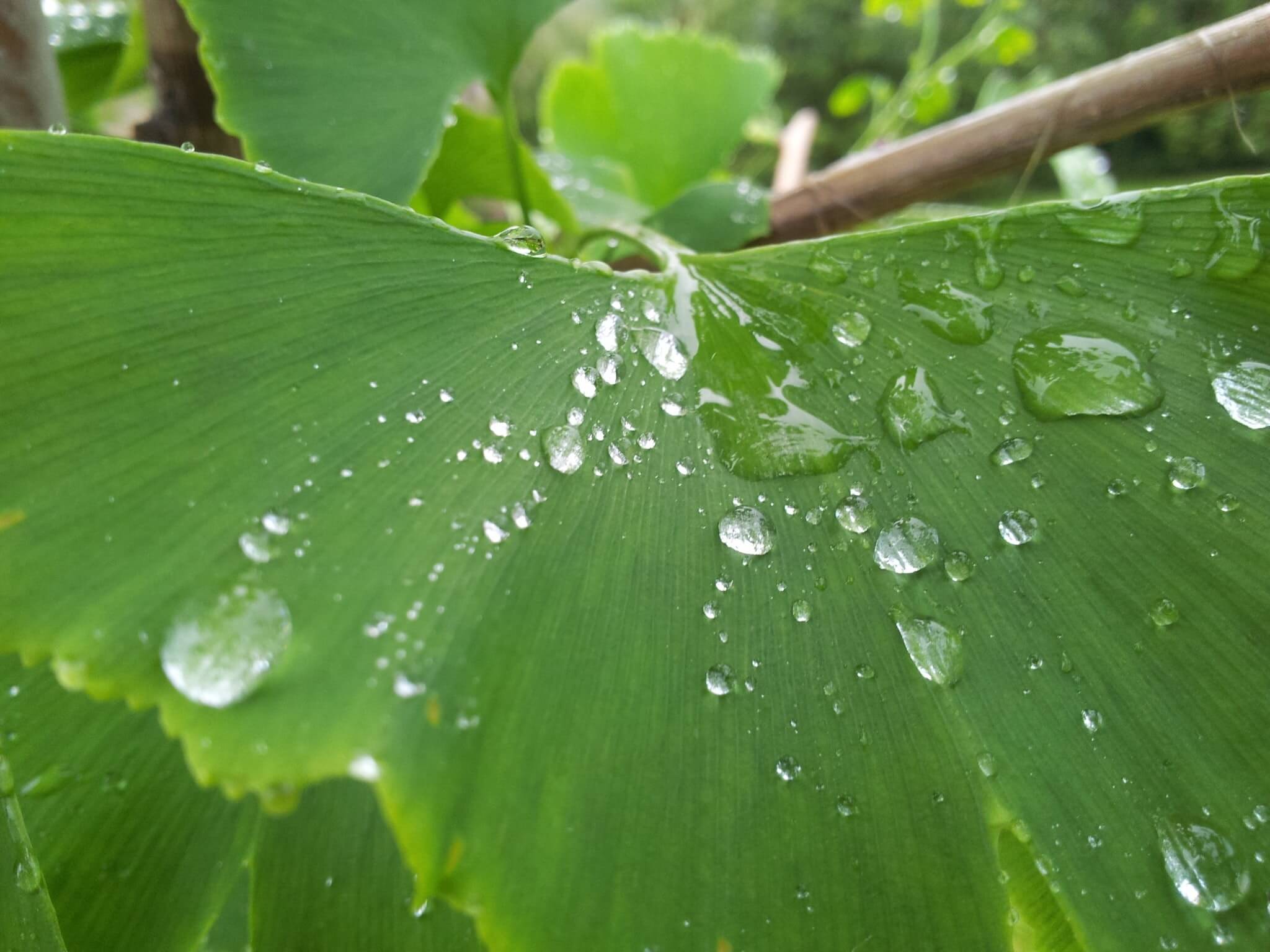 Materiales innovadores y sostenibles que imitan a la naturaleza. Tecnología IMM (in mould microstructuration)