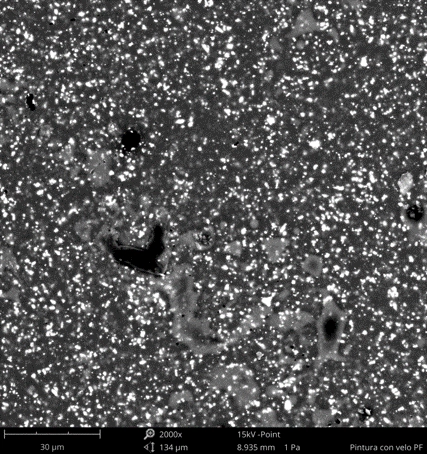 Detección de defectos en pinturas por microscopía