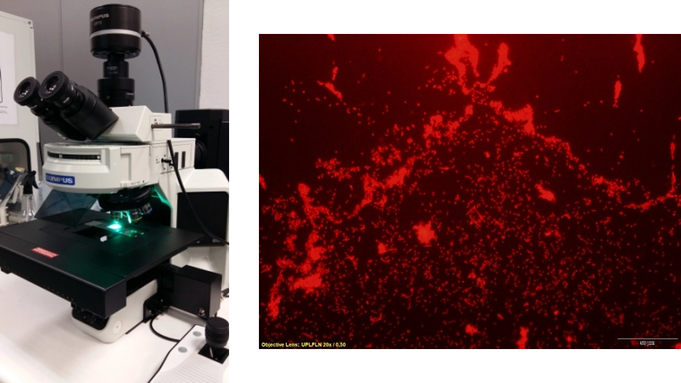 Optimización de plásticos con un nuevo aditivo antimicrobiano