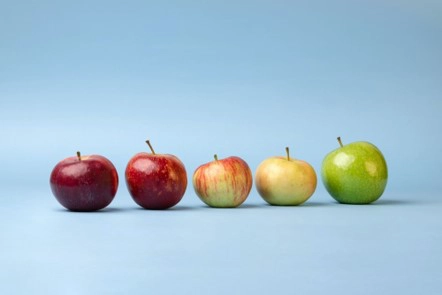 Diseño y entrenamiento de panelistas para cata de alimentos