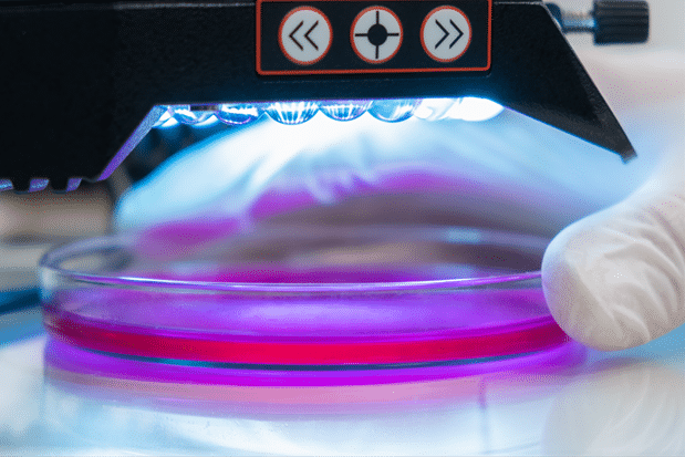 Proceso de tratamiento bajo luz UV en desarrollo de innovación tecnológica de producto