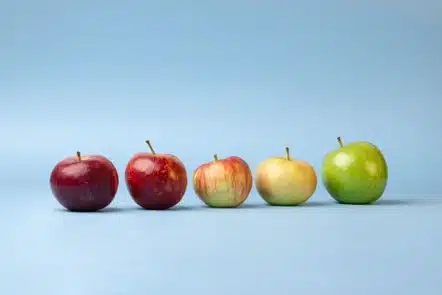 Design and training of panelists for food tastings Apples of different colours and ripeness stages prepared for a tasting