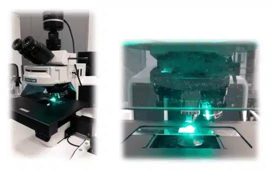 Characterization of the antibiofilm properties of surfaces Fluorescence microscope for characterising biofilm on surfaces