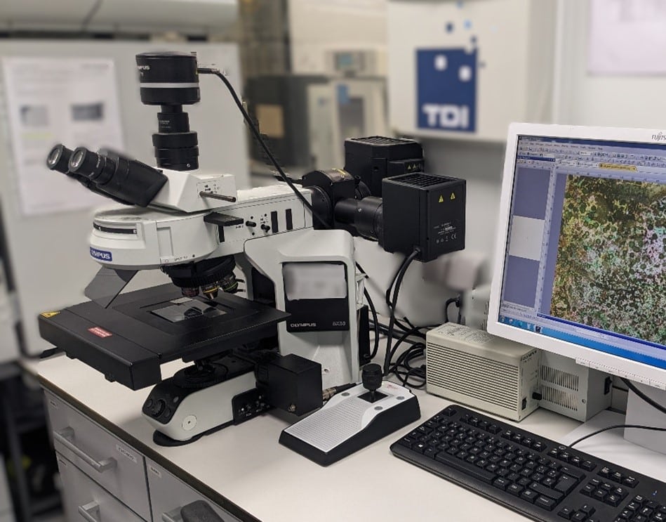 Microscopio óptico conectado a un sistema de captura y análisis de imagen