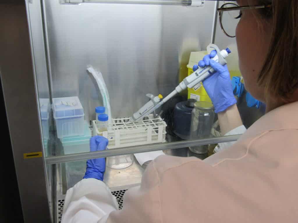 Microbiological testing in a laminar flow cabinet to detect critical contamination points