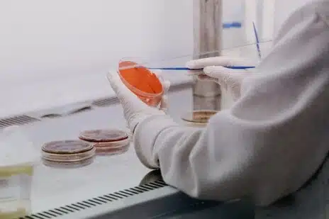 Evaluation of the antimicrobial properties of a device for food disinfection Technician holding a Petri dish during the evaluation of antimicrobial efficacy